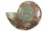 Cut & Polished Ammonite Fossil (Half) - Madagascar #354187-1